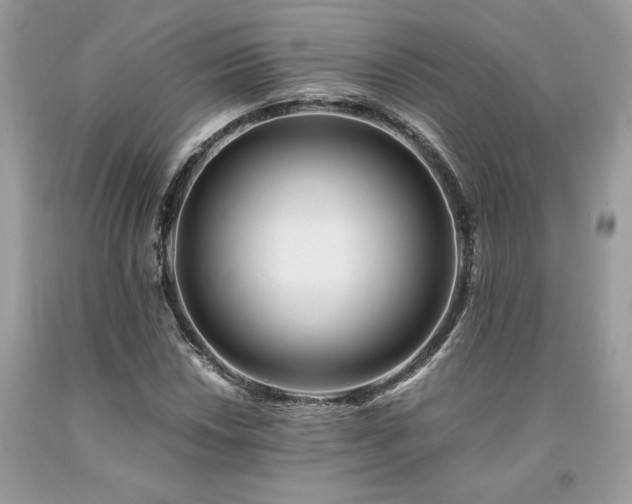 X0000094181018200710261127