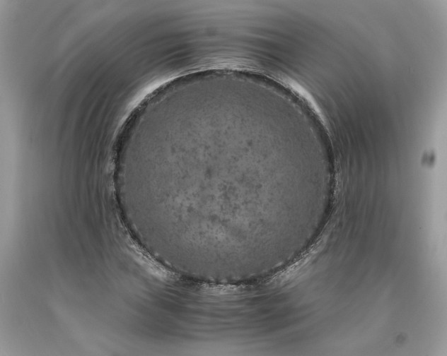 X0000094181019200710261127