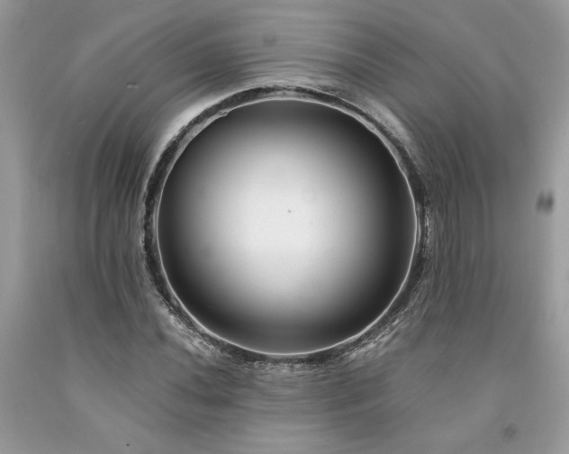 X0000094181020200710261127