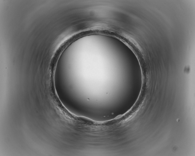 X0000094181021200710261127