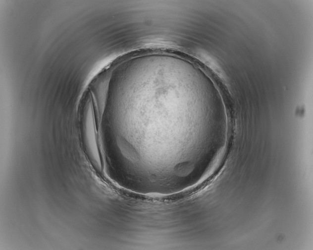 X0000094181022200710261127