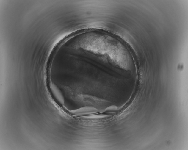 X0000094181024200710261127