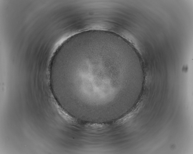 X0000094181027200710261127
