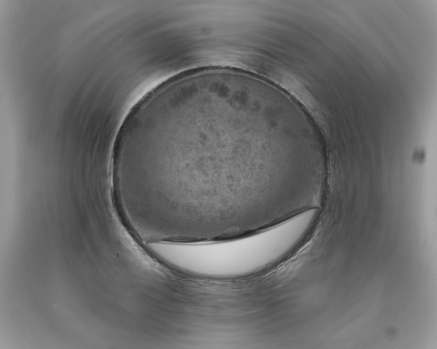 X0000094181028200710261127