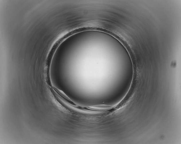 X0000094181029200710261127