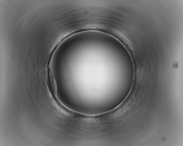 X0000094181033200710261127