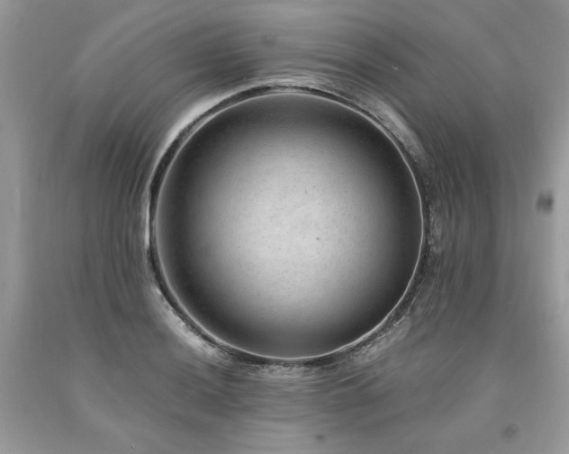 X0000094181036200710261127