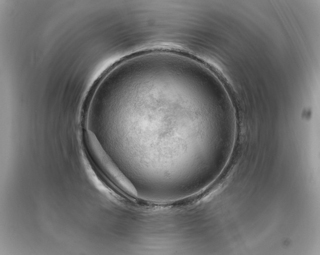 X0000094181038200710261127