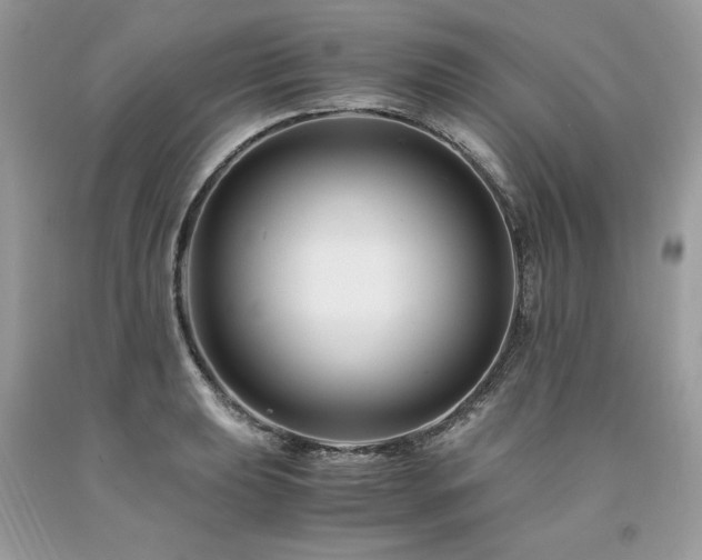 X0000094181039200710261127