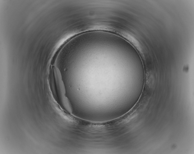 X0000094181043200710261127
