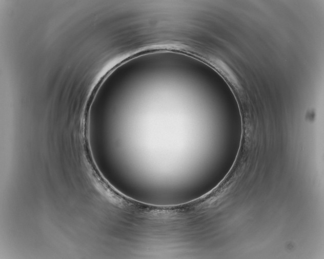 X0000094181044200710261127