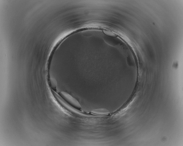 X0000094181045200710261127