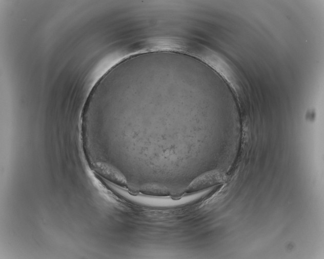 X0000094181047200710261127