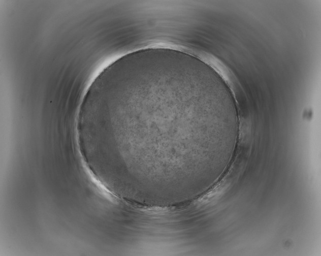 X0000094181048200710261127