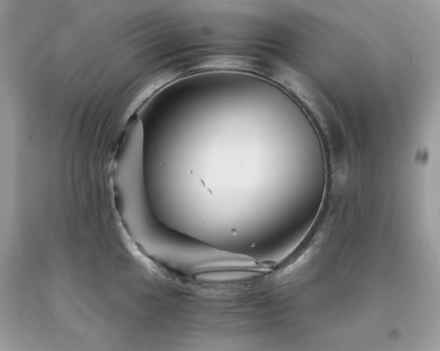 X0000094181049200710261127