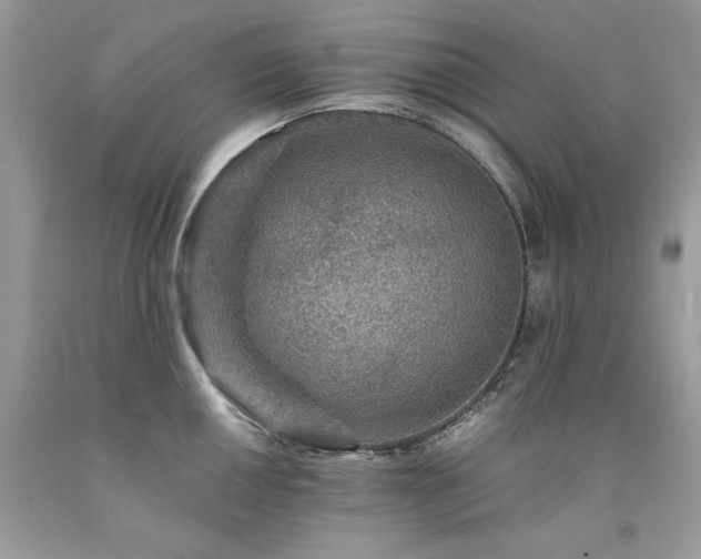 X0000094181050200710261127