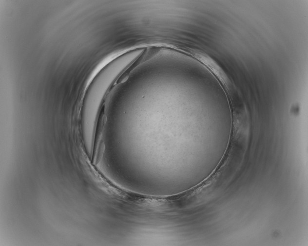 X0000094181052200710261127