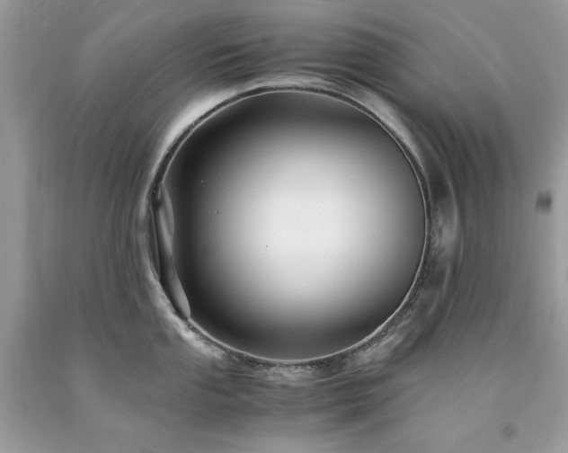 X0000094181053200710261127
