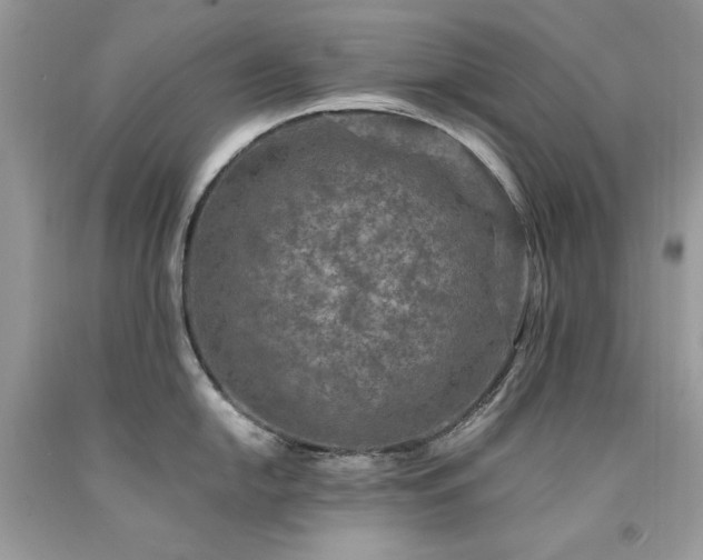 X0000094181054200710261127