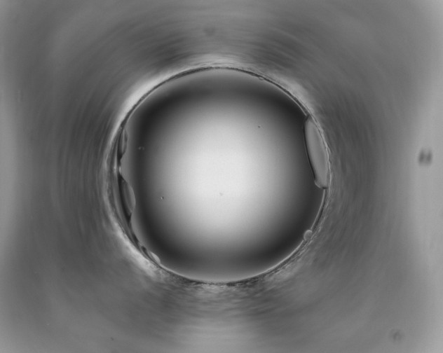 X0000094181056200710261127