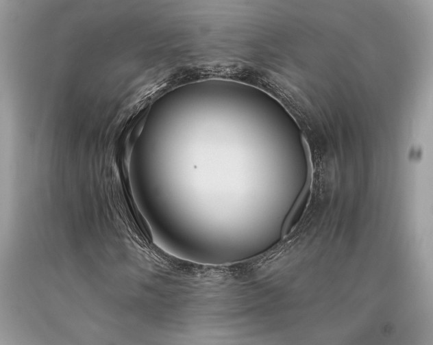 X0000094181058200710261127