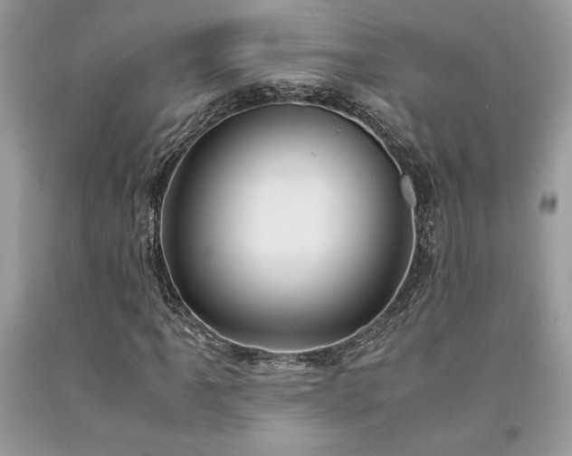 X0000094181061200710261127