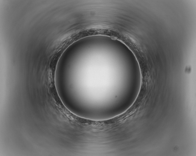 X0000094181062200710261127