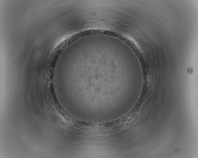X0000094181064200710261127