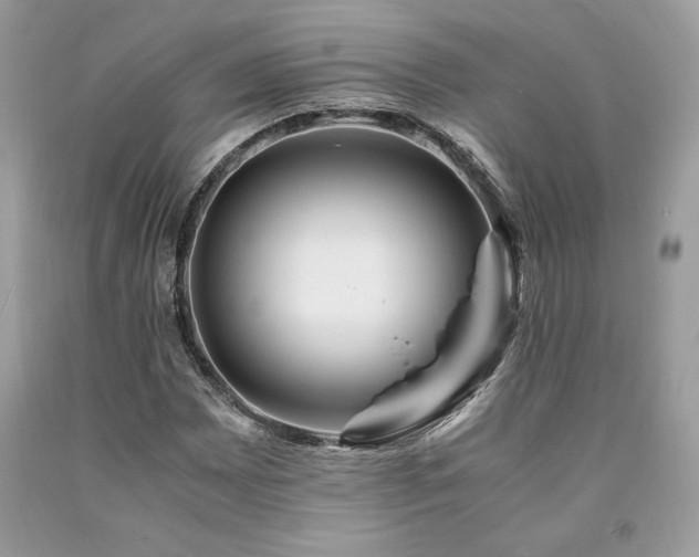 X0000094181065200710261127