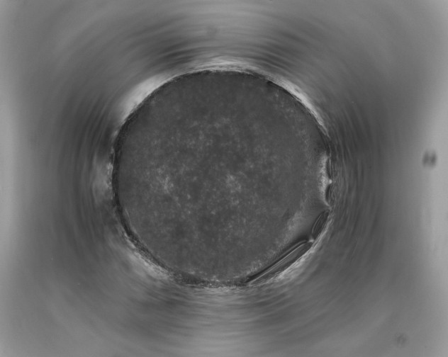 X0000094181066200710261126