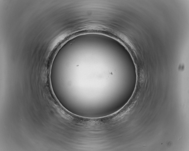 X0000094181067200710261126