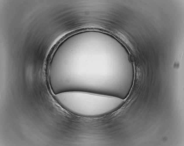 X0000094181068200710261126