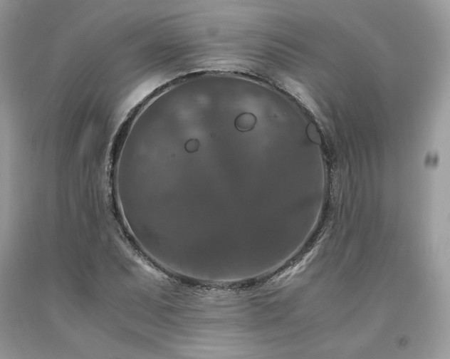X0000094181071200710261126