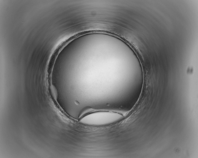 X0000094181072200710261126