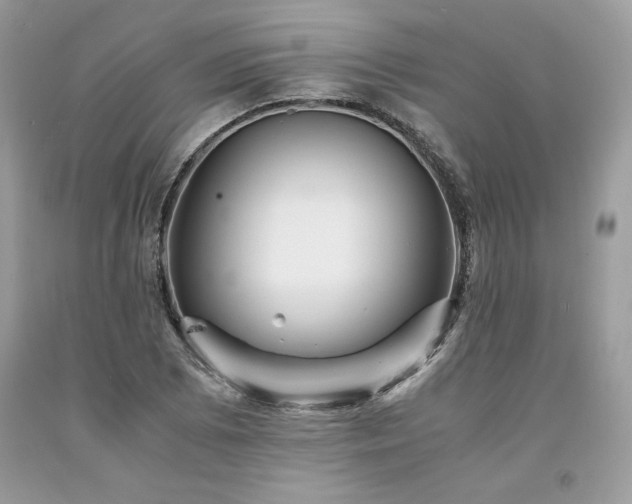 X0000094181073200710261126