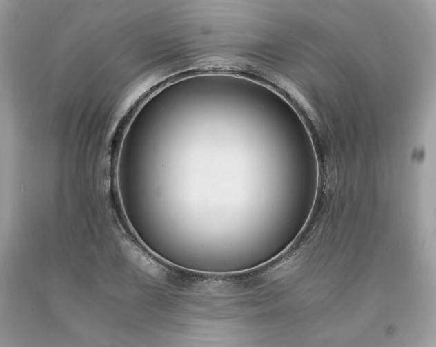 X0000094181075200710261126