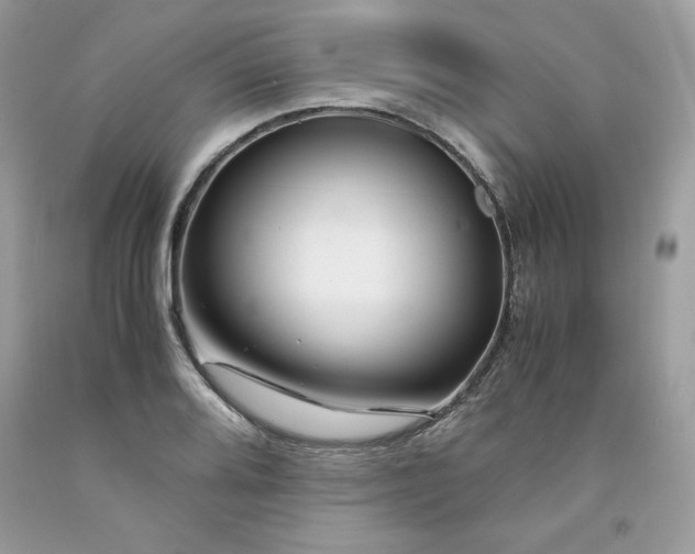 X0000094181080200710261126