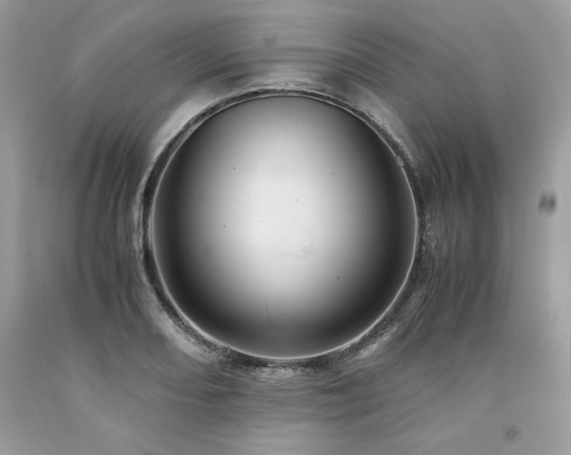 X0000094181082200710261126