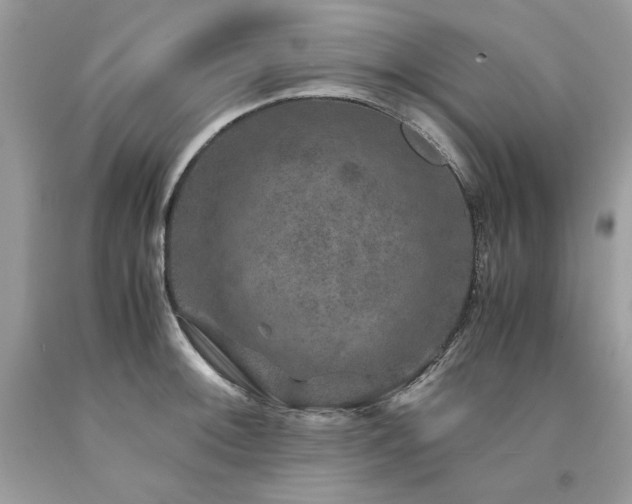 X0000094181092200710261126