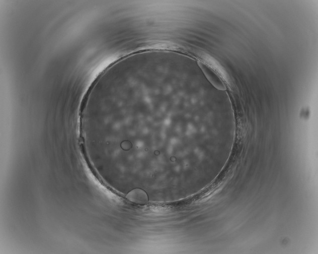 X0000094181095200710261126