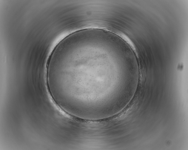 X0000094181096200710261126