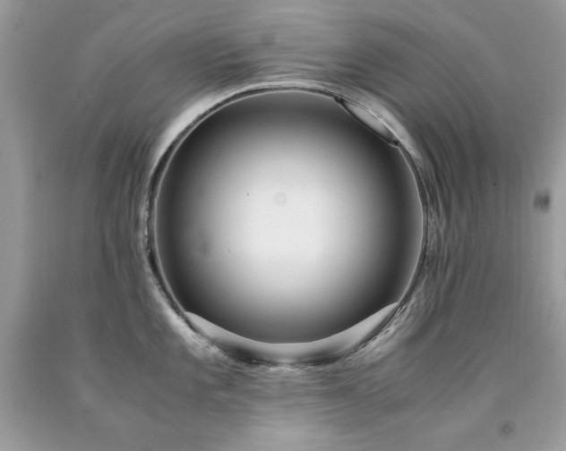 X0000094181101200710261126