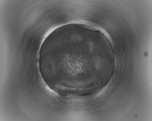 X0000094181102200710261126