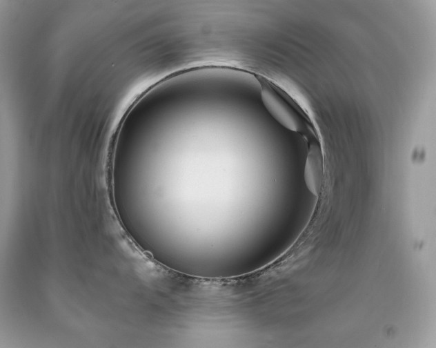 X0000094181104200710261126