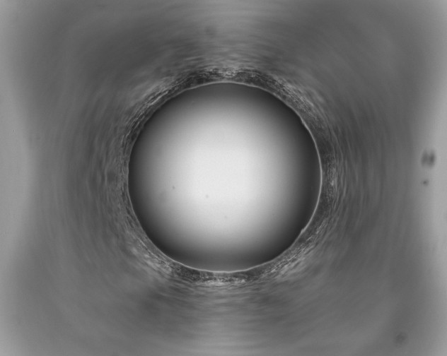 X0000094181105200710261125