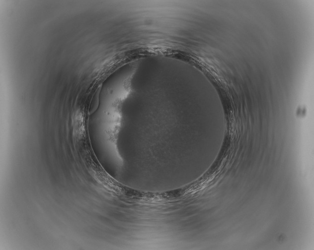 X0000094181106200710261125