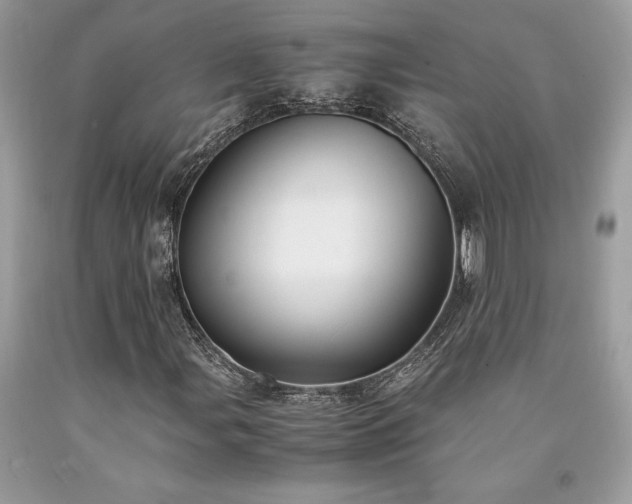 X0000094181107200710261125