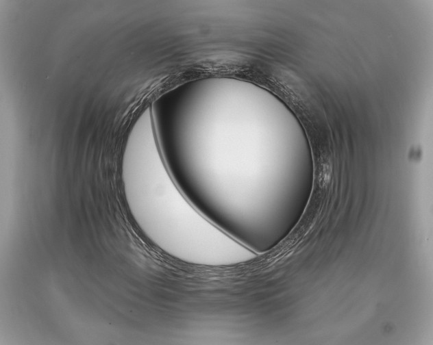 X0000094181108200710261125