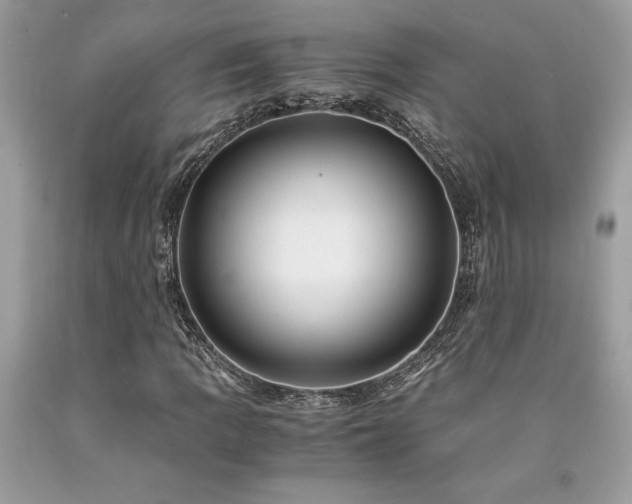 X0000094181109200710261125