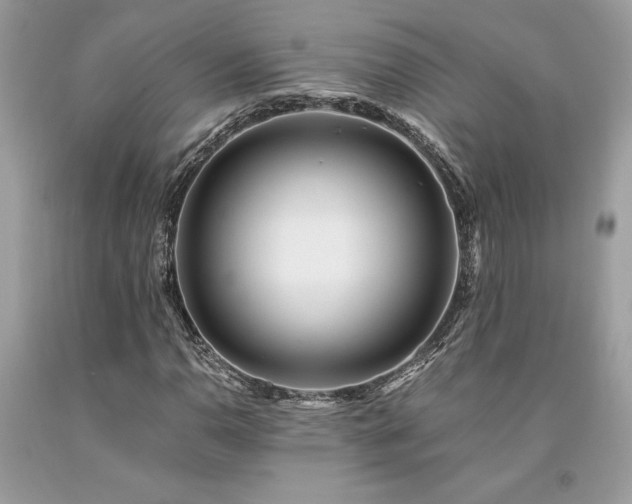 X0000094181110200710261125